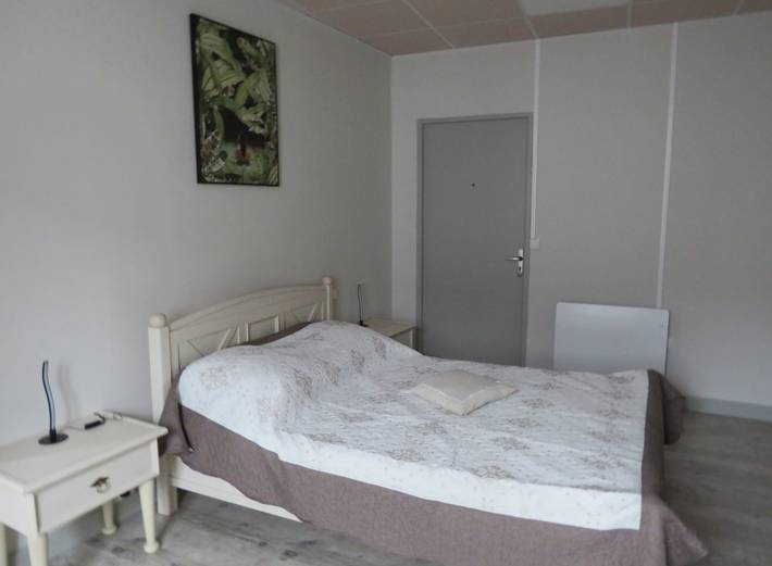 Gîte pour 4 personnes, avec terrasse à Montredon-Labessonnié - 4