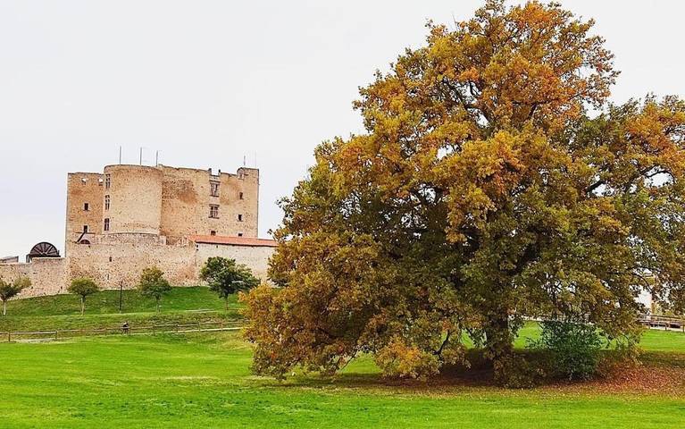 Hôtel pour 2 personnes, avec jardin et vue, animaux acceptés à Montrond-les-Bains - 4