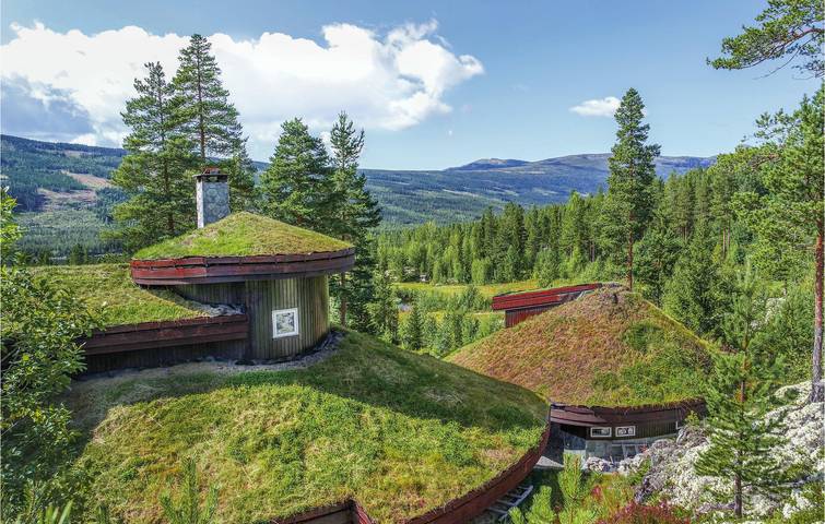 Ferienhaus für 8 Personen mit Garten in Gol