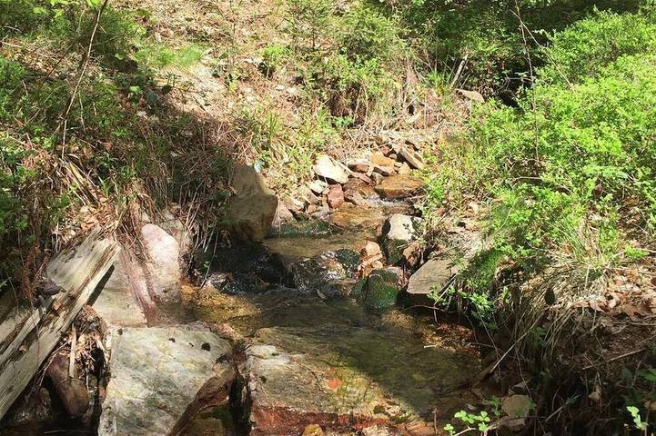 Ferienwohnung für 4 Personen, mit Garten in Kell am See - 4