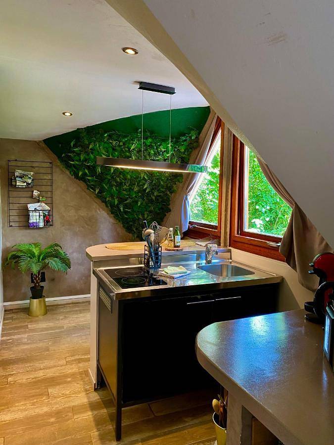 Gîte pour 2 personnes, avec terrasse et vue, animaux acceptés à Gesves - 4