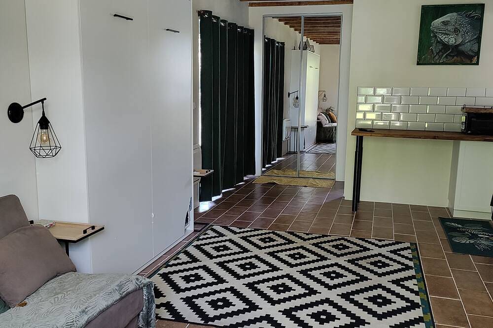 Ganze Wohnung, Chez Chapellecountry living in Auch with pool.  Pets welcome! in Auch, Gers