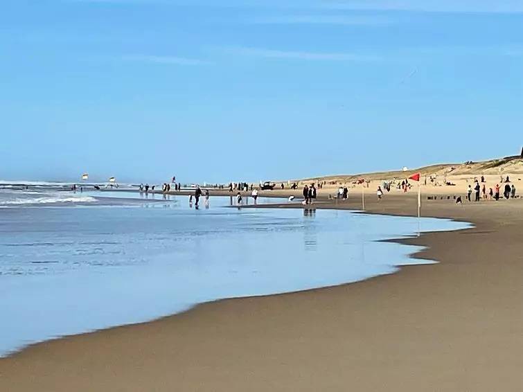 Geheel appartement, 3 Pièces 4 Personnes in Mimizan Plage, Mimizan