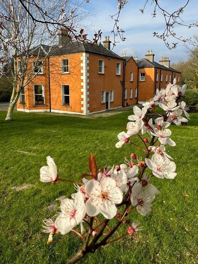 Vakantiehuis voor 27 personen, with Tuin and Sauna as well as Uitzicht in County Wicklow
