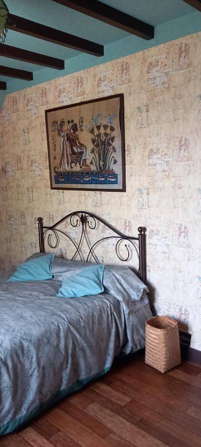 Location de vacances pour 5 personnes, avec vue ainsi que terrasse et jardin à Cour-sur-Loire - 4