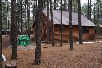 Log Cabin for 4 Guests in Arizona, USA, Picture 1