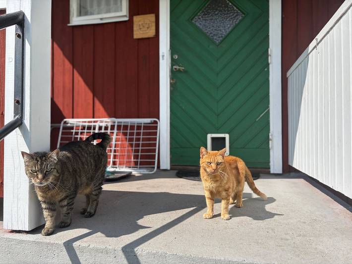 Ferienwohnung für 4 Personen, mit Garten und Sauna sowie Whirlpool in Värmland - 3
