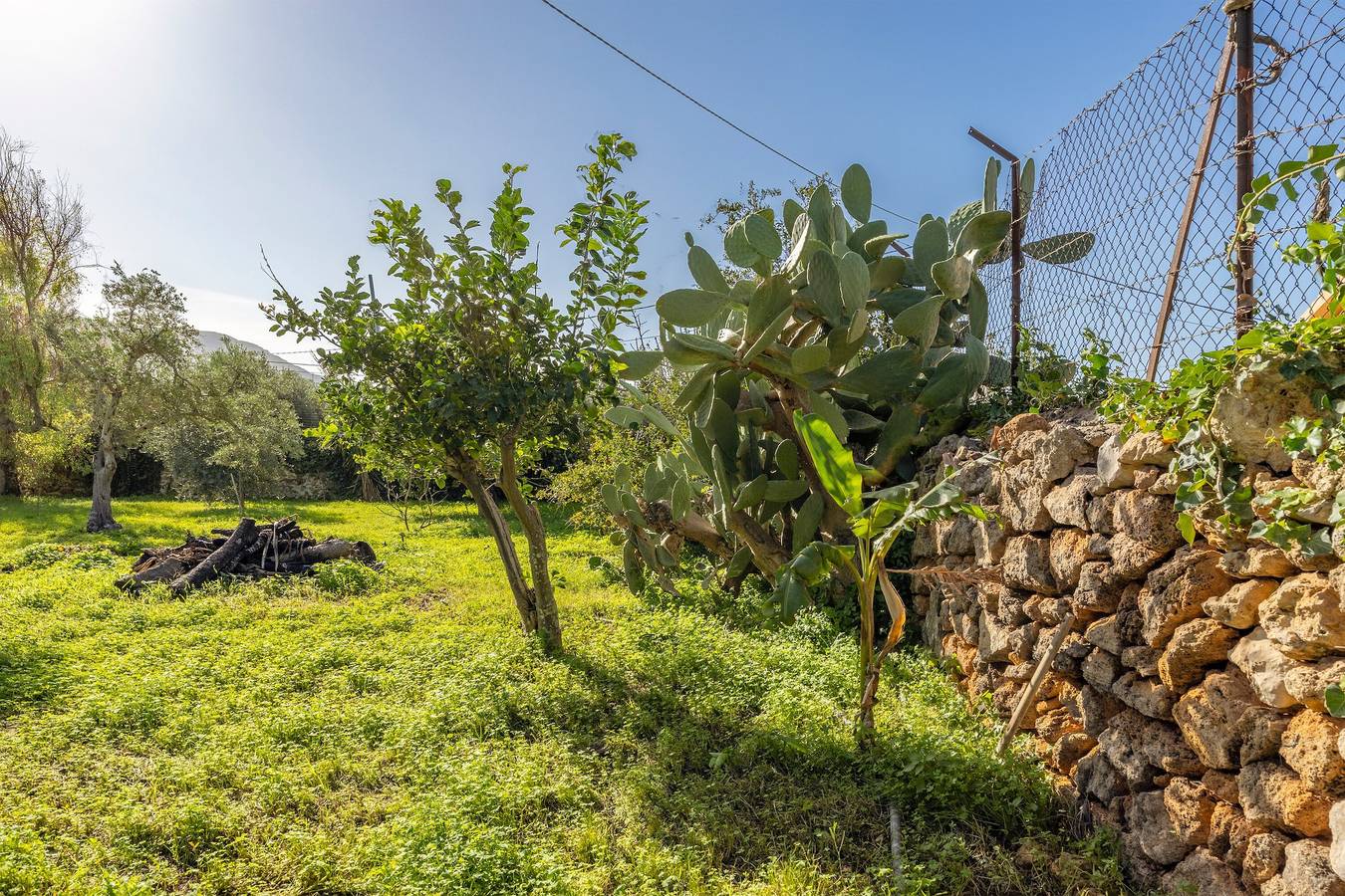 Villa 'Margherita' with Sea View, Wi-Fi and Air Conditioning in Palermo Province