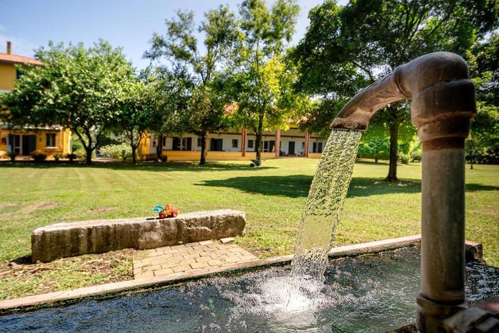 Agriturismo per 4 persone, con giardino e terrazza nonché piscina e panorama, con animali domestici in Provincia di Venezia