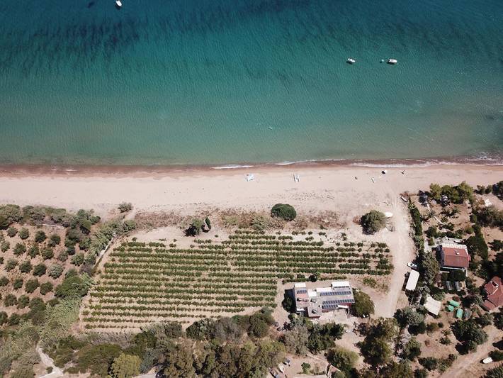 Location de vacances pour 3 personnes, avec balcon et jardin, animaux acceptés en Grèce