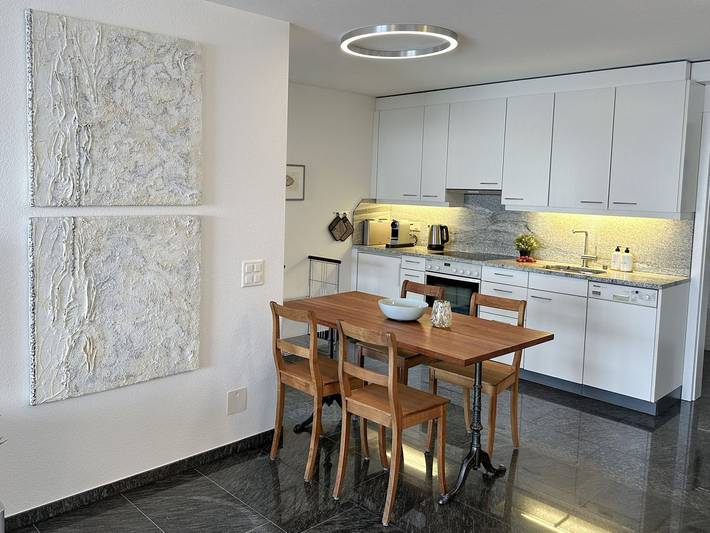 Ganze Wohnung, Helle moderne Ferienwohnung mit grosser Terrasse und einzigartigem Panoramablick in Gambarogno, Lago Maggiore (Schweiz)