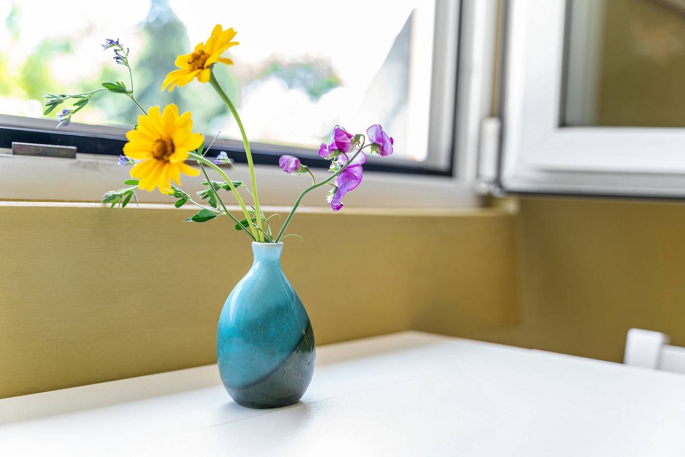 Gezellig studio aan de rand van de stad, huisdiervriendelijk, foto 14