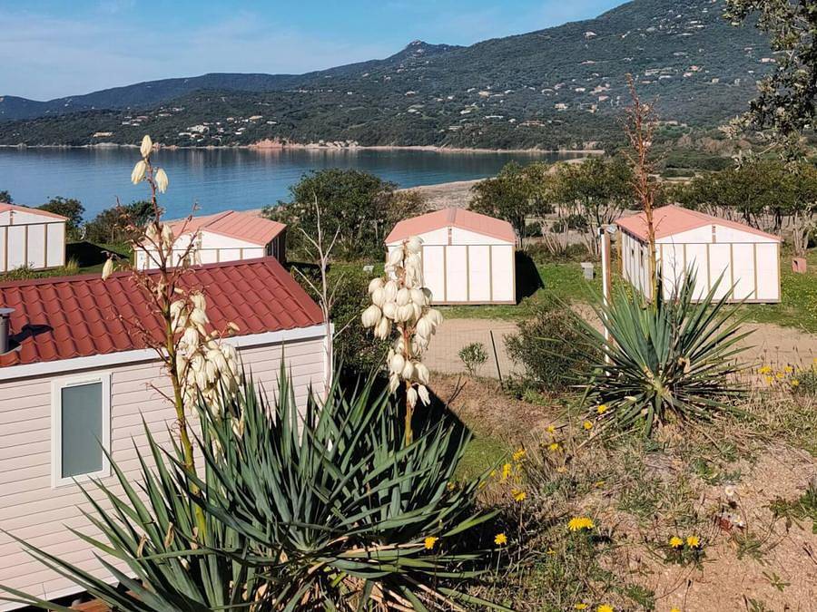 Camping Tikiti - Chalet 5 persone - Chalet Standart - Sabato - Pause brevi in Olmeto, Sartène e dintorni