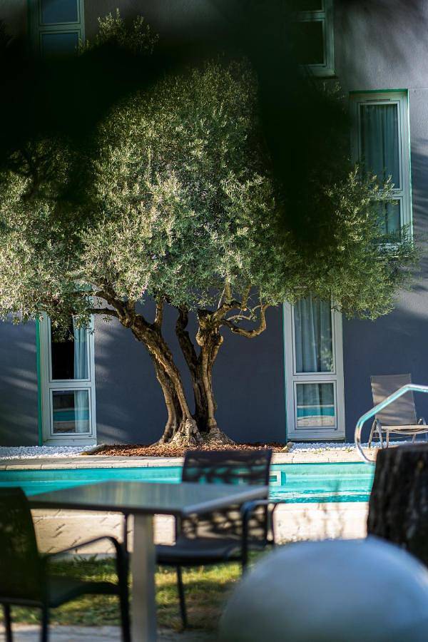 Hôtel pour 2 personnes, avec piscine ainsi que jardin et jacuzzi à Échirolles - 3