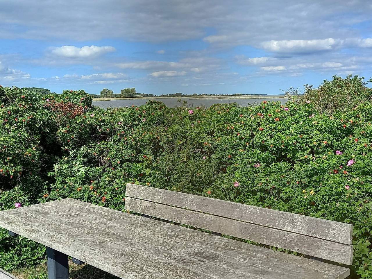 10 person holiday home in Haderslev-By Traum in Årø, Haderslev