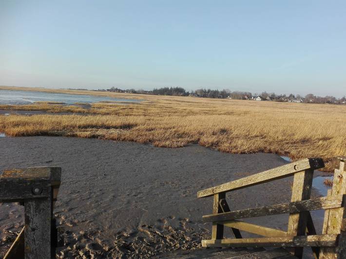 Ferienhaus mit Meerblick für 4 Personen, mit Terrasse und Garten, mit Haustier in Nordfriesland - 3