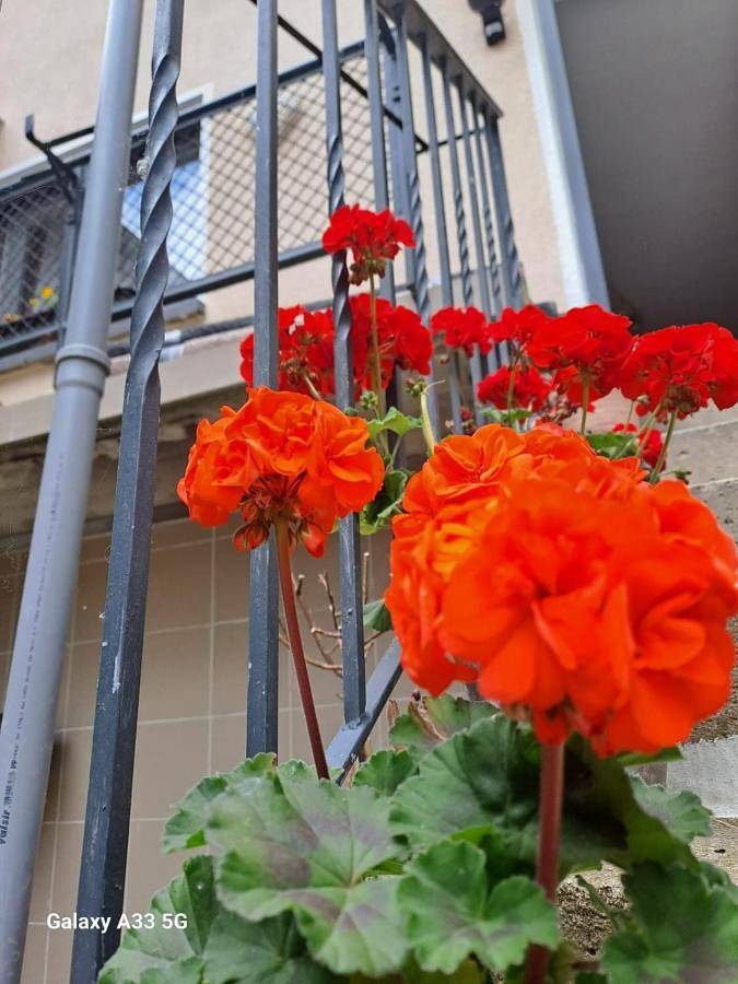 Ferienhaus für 12 Personen, mit Balkon - 1