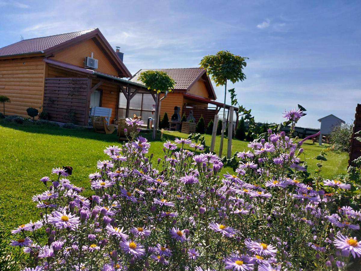 Domek Lawendowy nr 4 in Boszkowo, Wielkopolska