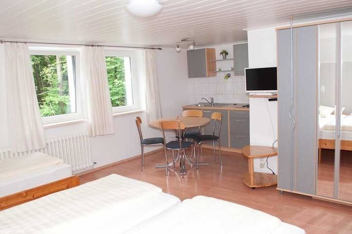 Hôtel pour 3 personnes, avec jardin et terrasse, animaux acceptés à Hochburg-Ach - 3