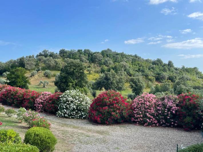 Gîte pour 3 personnes, avec vue ainsi que jardin et piscine, animaux acceptés dans Montemassi - 3