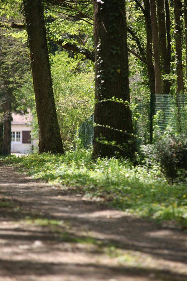 Gîte pour 4 personnes, avec Terrasse ainsi que Jardin et Vue à Neuillé-le-Lierre