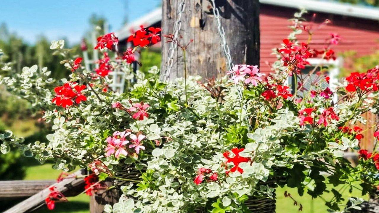 Ferienhaus für 5 Personen (67 m²) in Hallstavik in Stockholm und Umgebung