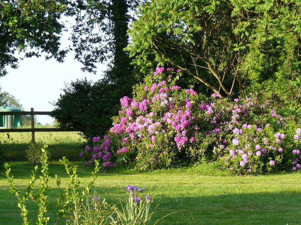 Les écuries de Bel Air in Muzillac, Côte des Mégalithes