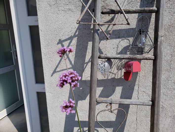 Gîte pour 4 personnes, avec jardin et terrasse dans Grand Est - 3