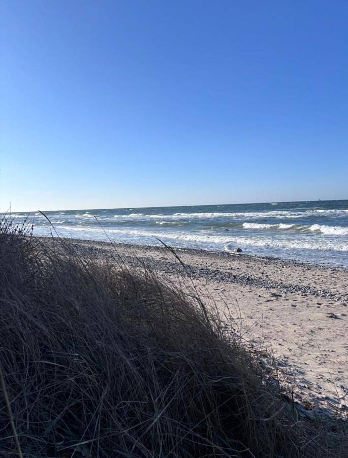 Strandkorb 115 in Strand Diedrichshagen, Rostock