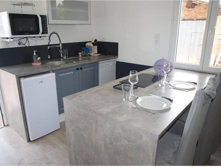 Location de vacances pour 2 personnes, avec piscine et jardin, animaux acceptés à Fronton - 4