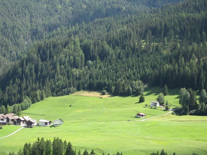 Appartement de vacances entier, Ferienwohnung Forsthaus Falkenstein - Appartement pour 2-4 personne in Tarasp, Lower Engadine