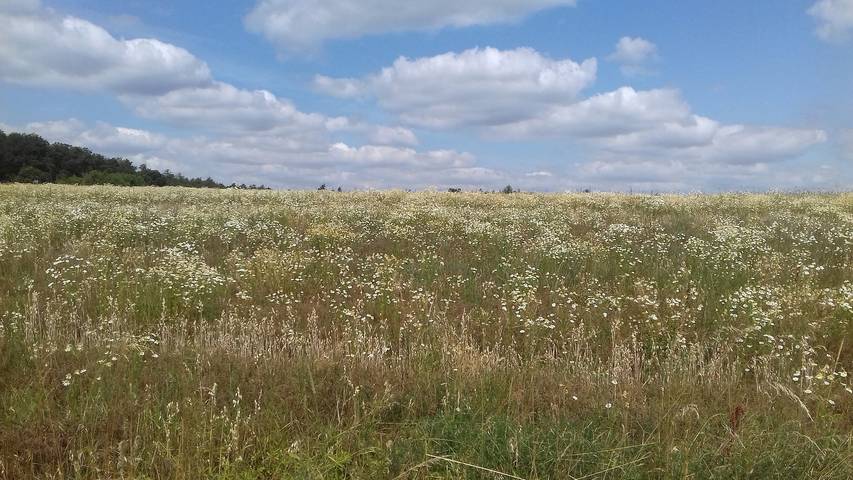 Ferienhaus für 4 Personen, mit Garten und Balkon in Landkreis Haßberge - 3