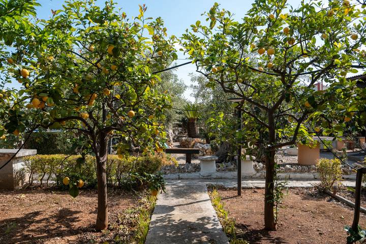 Location de vacances pour 6 personnes, avec jardin, adapté aux familles à Monopoli - 4