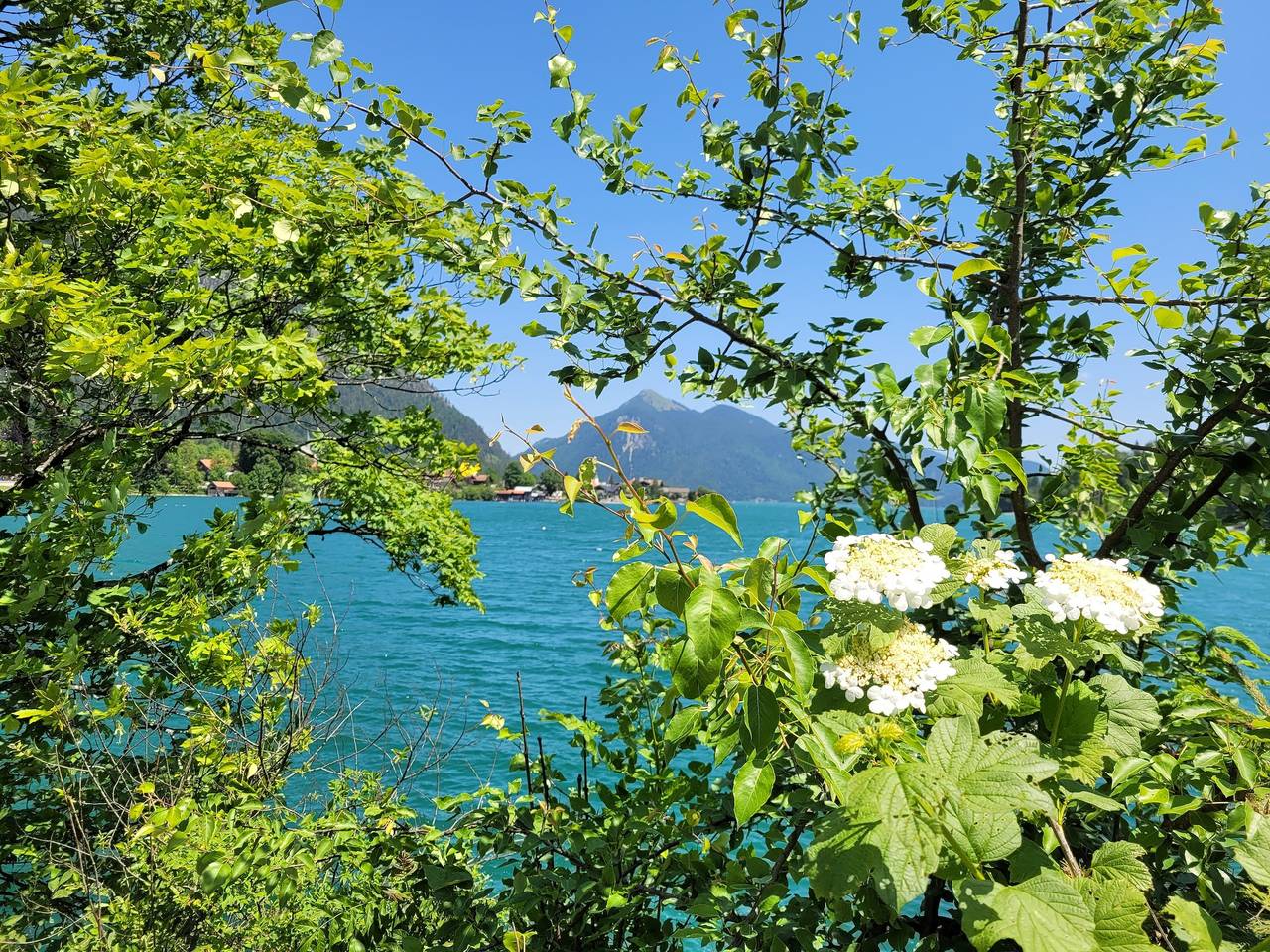 Appartement de vacances entier, Appartement de vacances pour 4 personnes avec balcon in Walchensee