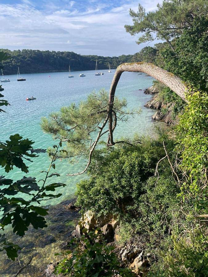 Location de vacances pour 7 personnes, avec terrasse dans Port de Brigneau - 2