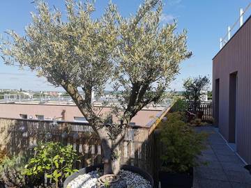Gîte pour 6 personnes, avec balcon ainsi que jardin et vue à Fontenay-le-Fleury