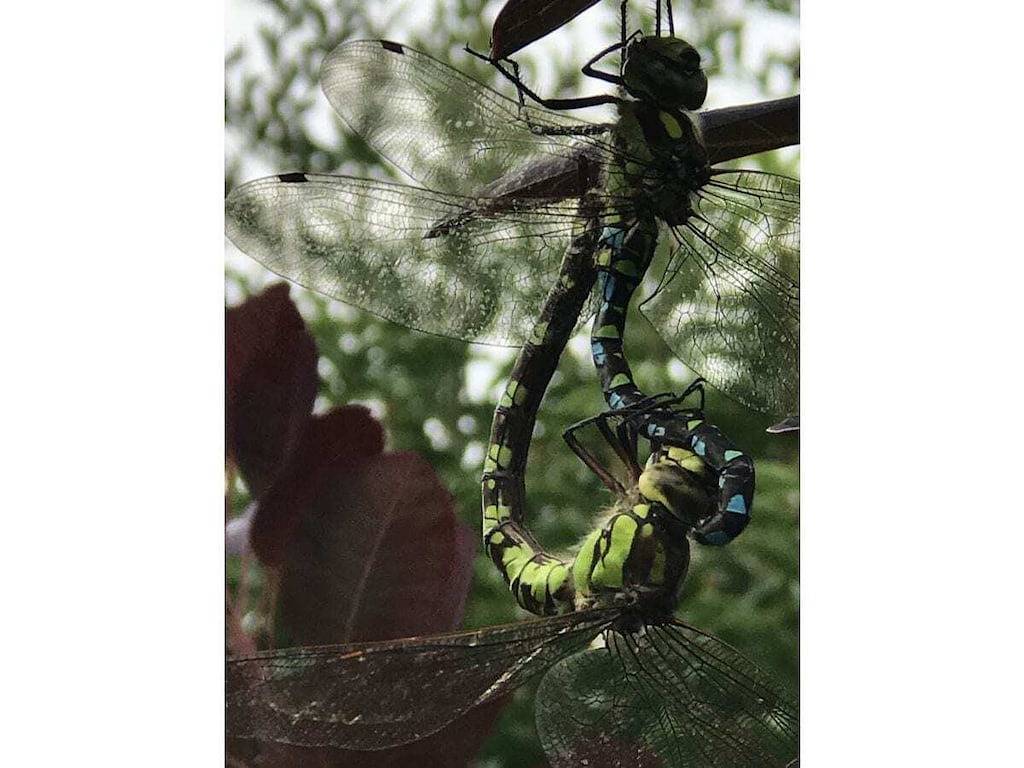 Spessart-Romantik in Blankenbach, Spessart-Mainland