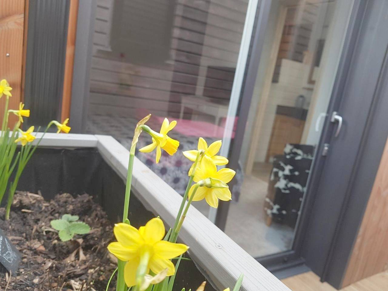 Appartement entier, Angers Green Lodge in Angers, Région d'Angers