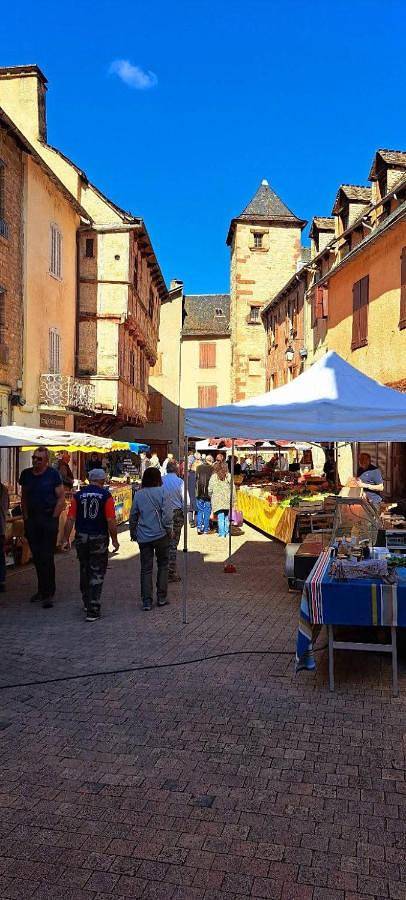 Location de vacances pour 6 personnes, avec terrasse et jardin ainsi que piscine et vue, animaux acceptés à Banassac - 2