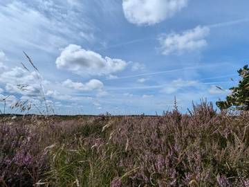 Ferieudlejning til 6 Personer i Bolilmark, Rømø, Billede 2
