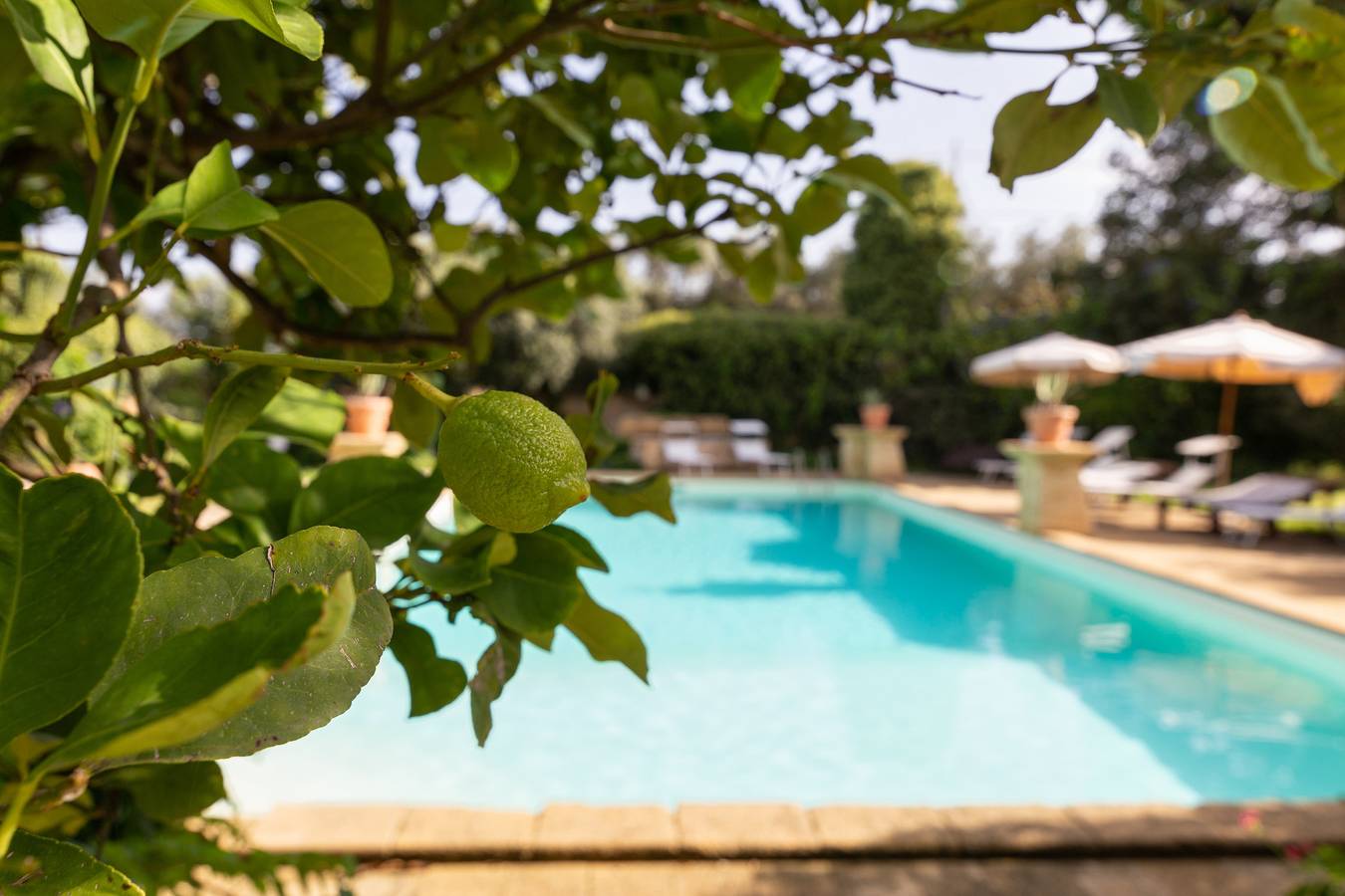 Entire apartment, Apartment 'Tenuta Donna Vittoria - Piccola' with Mountain View, Pool & Wi-Fi in Trapani, Trapani Province