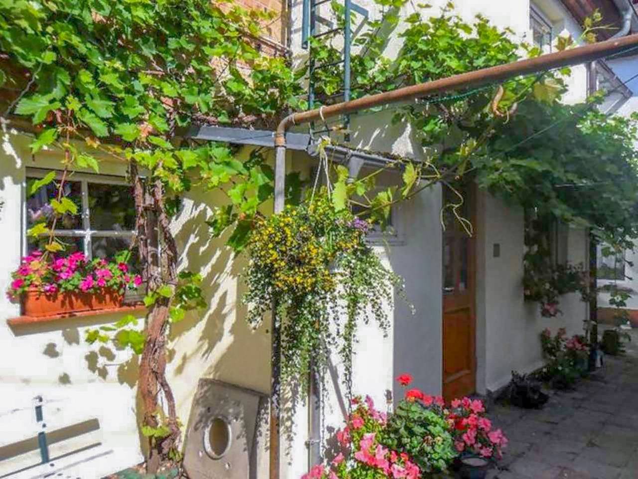 Ganze Ferienwohnung, Ferienwohnung Socolowsky - Ferienwohnung in Bad Sülze, Recknitz-Trebeltal