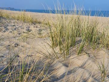 Ferienwohnung für 4 Personen in Ostseebad Damp, Damp, Bild 4