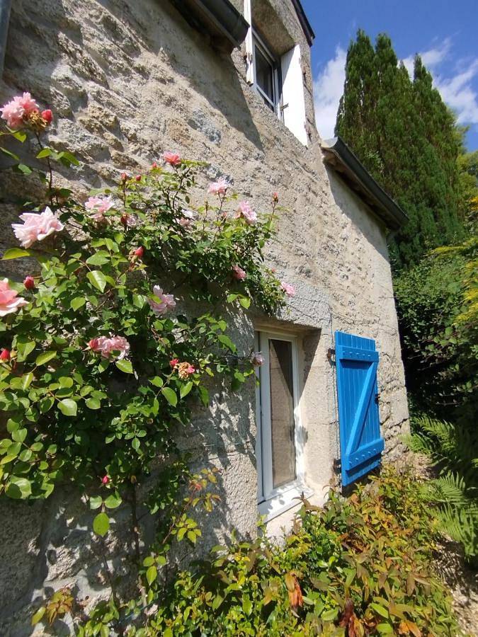 Location de vacances pour 9 personnes, avec jardin et piscine à Malguénac - 3