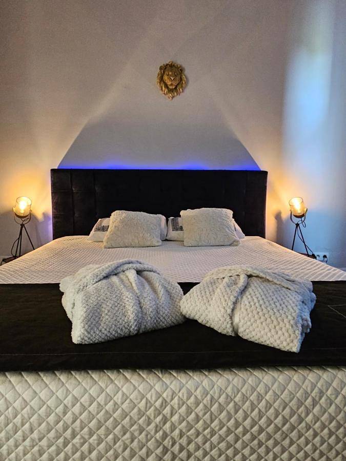 Chambre d’hôte pour 2 personnes, avec jacuzzi et terrasse à Tournai - 4