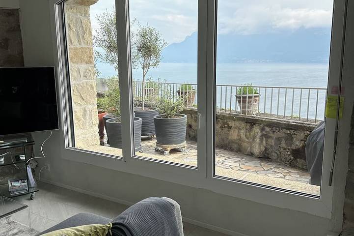 Panoramic Apt in the Vineyard with stunning 360 ° view of Lake Geneva and Alps in Puidoux, Genfer See