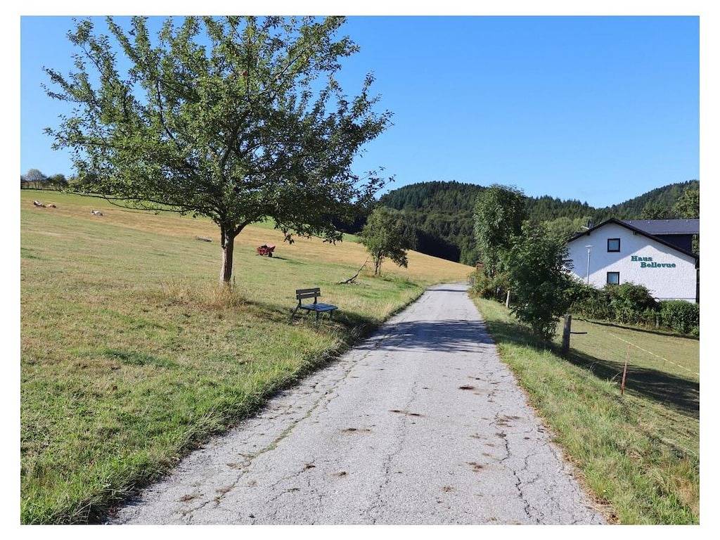 Bellevue (inkl. Meinecard+) in Schwalefeld, Willingen