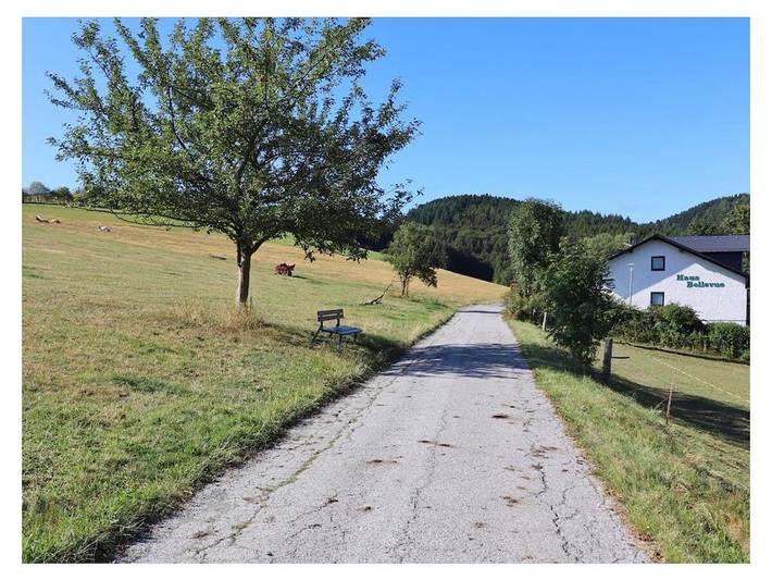Bellevue (inkl. Meinecard+) in Schwalefeld, Willingen