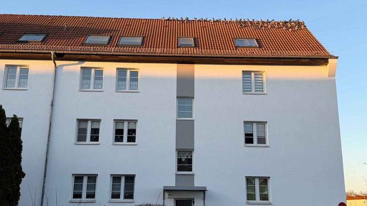 Apartamento vacacional entero, Ferienwohnung für 4 Personen (77 m²) in Dessau in Dessau, Reino de Jardines de Dessau-Wörlitz