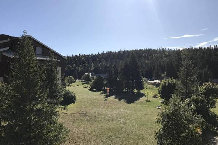 Ganze Wohnung, Wifi, skiurlaub an der piste, 3te Etage, balkon, fernseher, schließfach für die skier, 25m² in Corrençon-en-Vercors, Parc naturel régional du Vercors